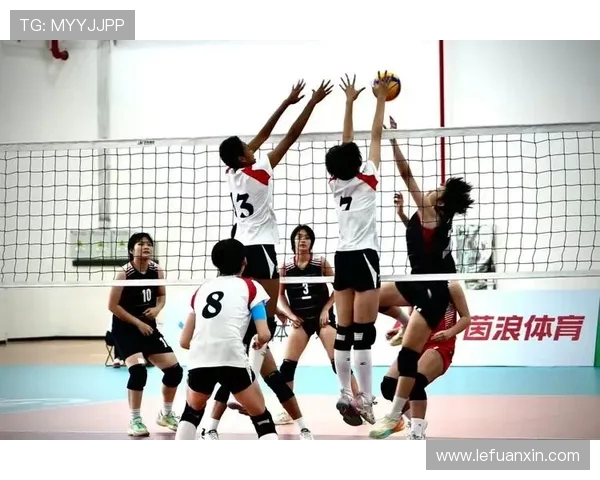 上海排球队灵活性排名第二引发关注全国排球界热议