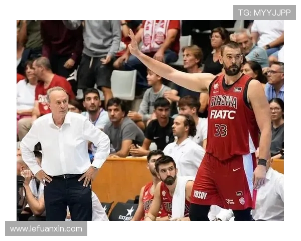 南京排球队逆袭欧锦赛的传奇旅程与背后故事揭秘