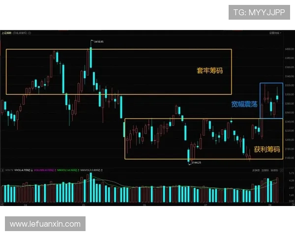 成都足球队与深圳足球队赛后技术分析与战术复盘探讨