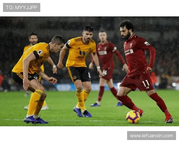 狼队与埃弗顿精彩对决全场录像回放分析与精彩瞬间回顾