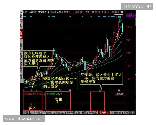 数据分析揭示EDG在比赛中的技术表现与战术策略的深度剖析