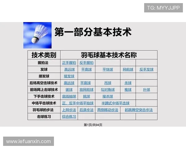 成都羽毛球队与武汉羽毛球队赛后技术分析与战术探讨
